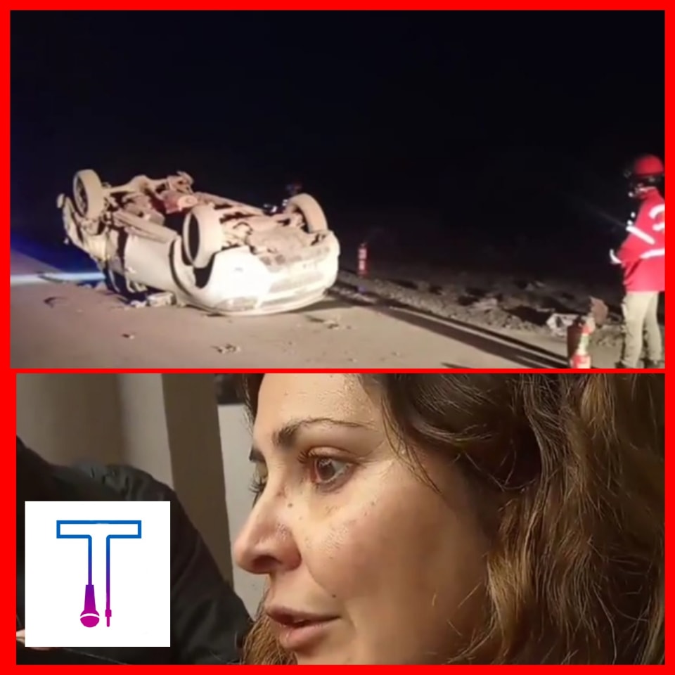311603605_504066991732016_9010216328334309141_n