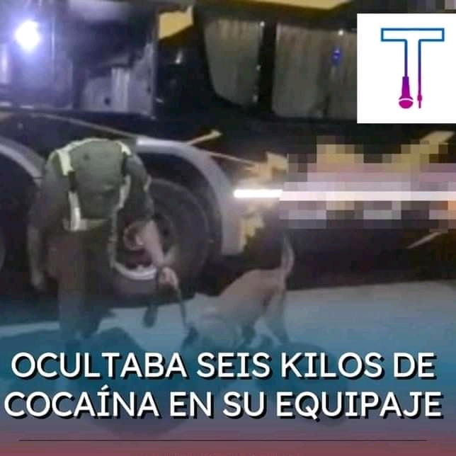 FB_IMG_16679508287536550