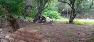 19-24-45-parque-el-saladillo-e1681398964654-1200x545_c