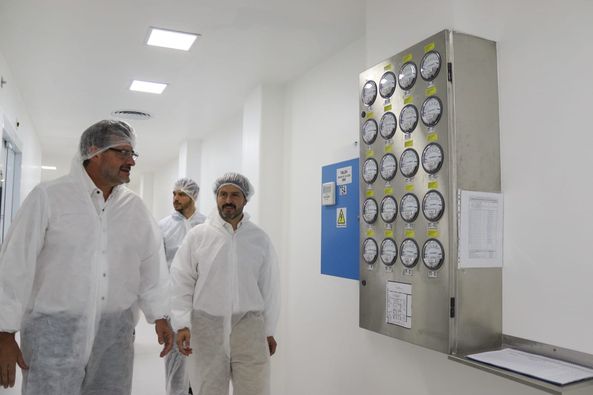 lab