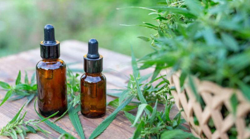aceite-cannabis-beneficios-piel-800x445
