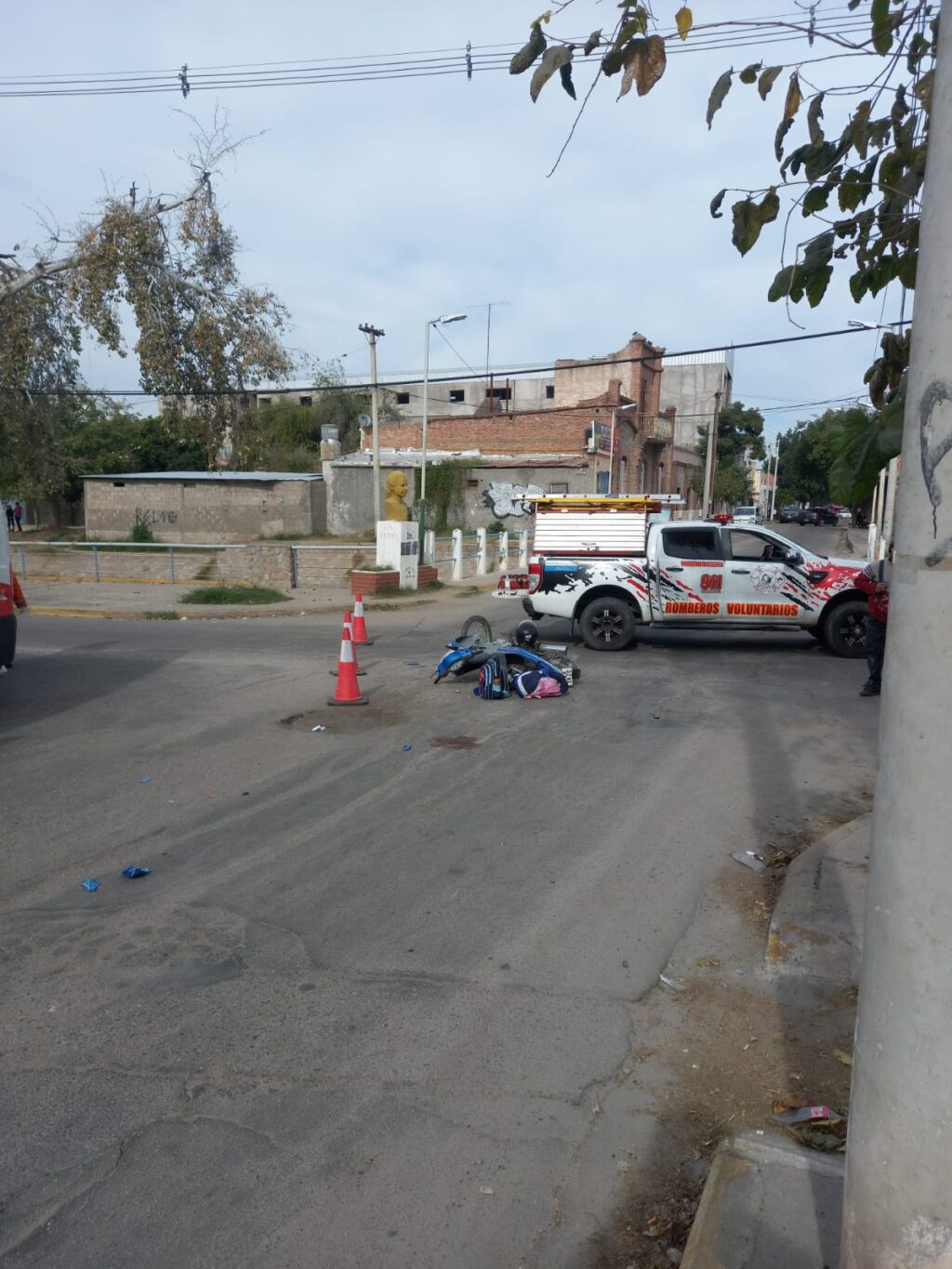 IMG-20230623-WA0017
