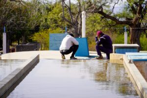 agua1