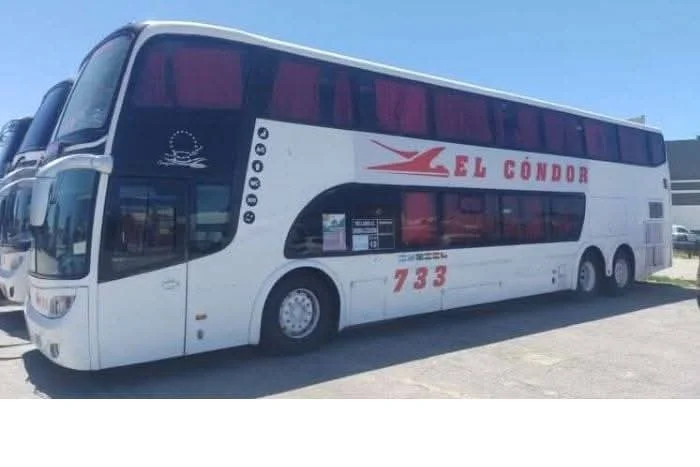 condor