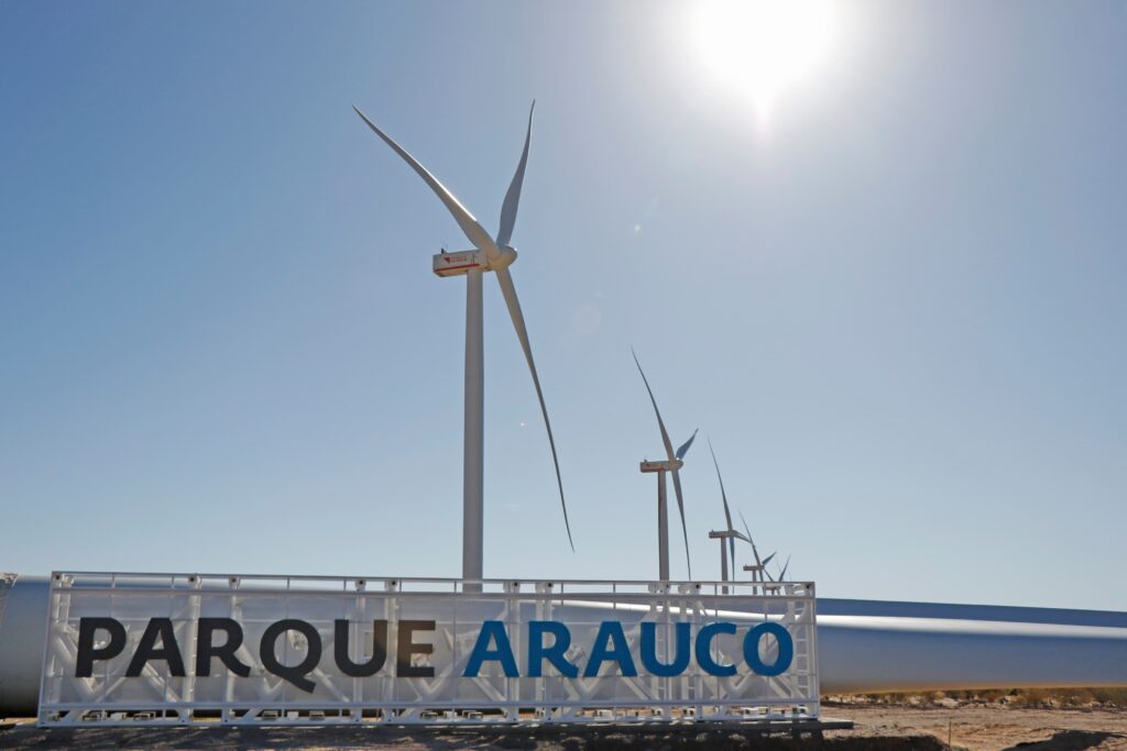 arauco